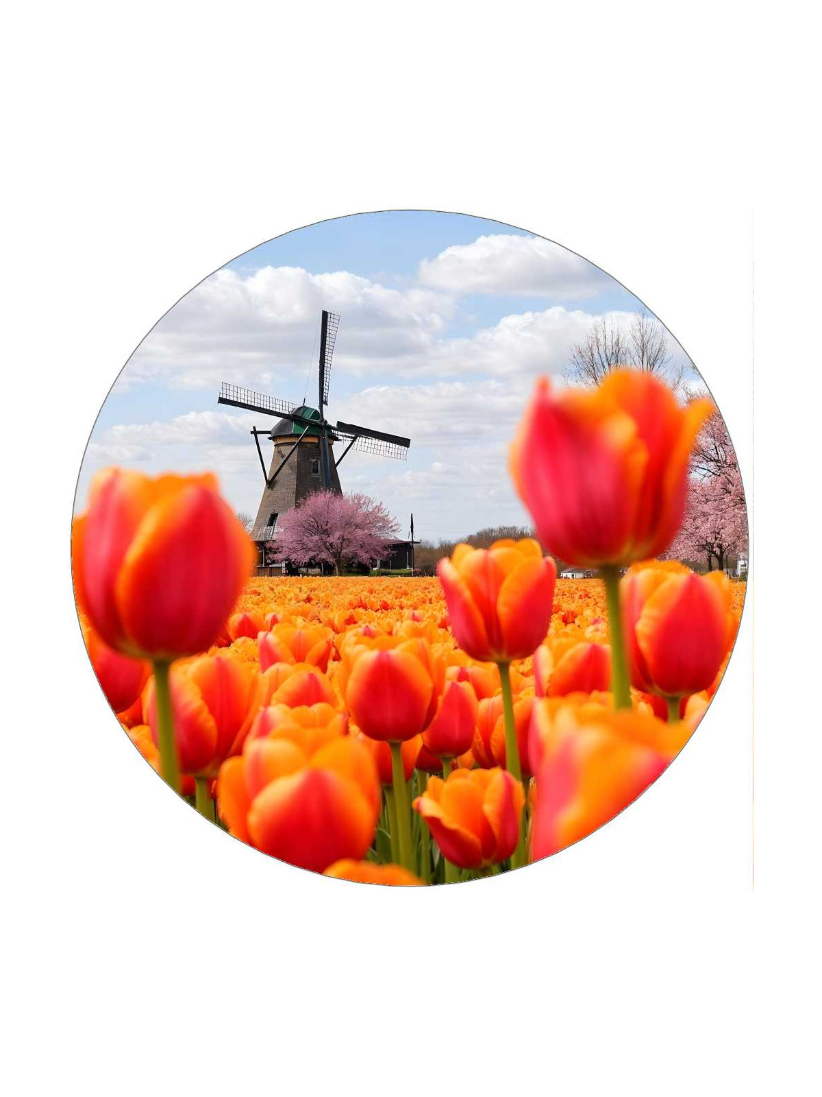 Obrázek na jedlém papíře - Holandské tulipány - kruh